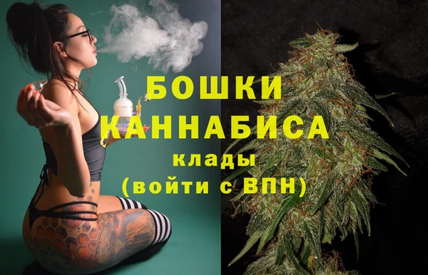 метадон Коряжма