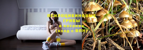 винт Корсаков